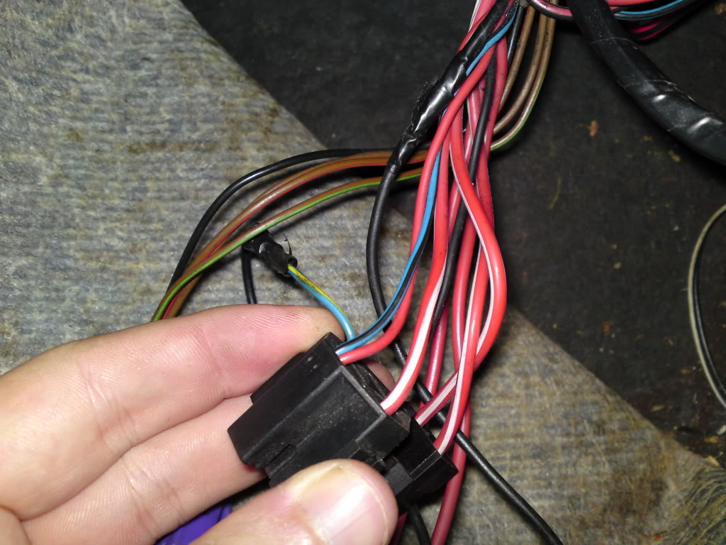 Fuel pump relay + wiring - PassionFord - Ford Focus, Escort & RS Forum