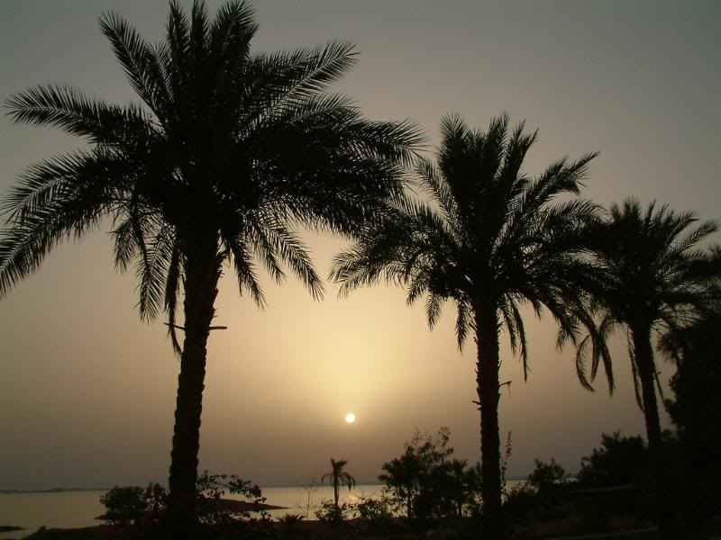 Name:  Egypt087.jpg
Views: 15
Size:  64.5 KB